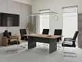 кабинет Проджект Дуб Т